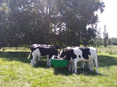 Ferme Châtelaudren-Plouagat