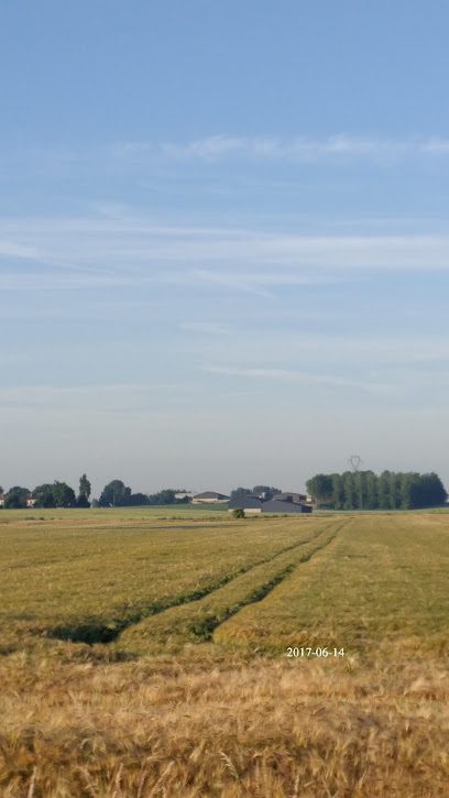 Entreprise de terrassement Sebourg