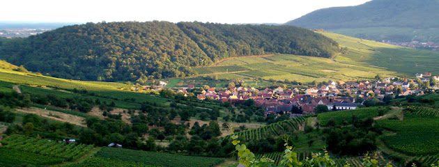 Vignoble Westhalten