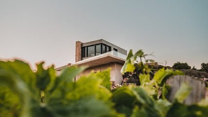 Vignoble Fitou