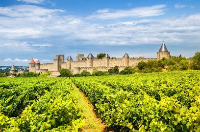 Vignoble Arzens