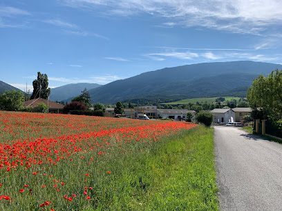 Police d'État Saint-André-les-Alpes