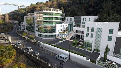 Association ou organisation Nice