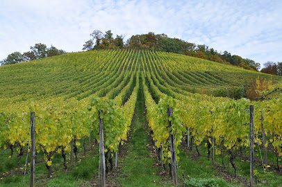 Magasin de matériel pour la production de vin Réparsac