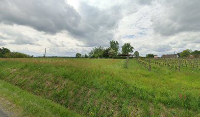 Vignoble Saint-Hilaire-du-Bois