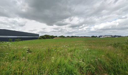 Paysagiste Bréal-sous-Montfort