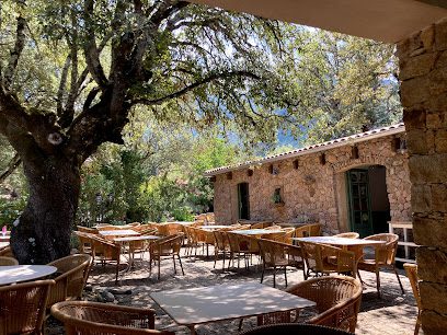 Pizzeria Moltifao