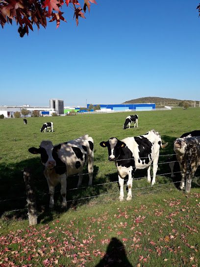 Centre d'accueil pour sans-abris Contrexéville