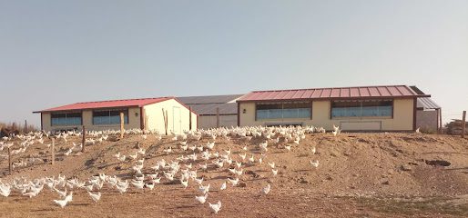 Fournisseur de matériel agricole Hagetmau