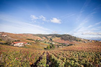 Vignoble Fleurie